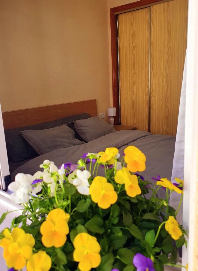 Isamar Apartamento Playa Del Cura トレビエハ エクステリア 写真
